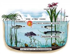  銀海地產河道水質監(jiān)測